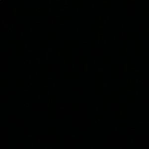 Meet your Posher, Ivy